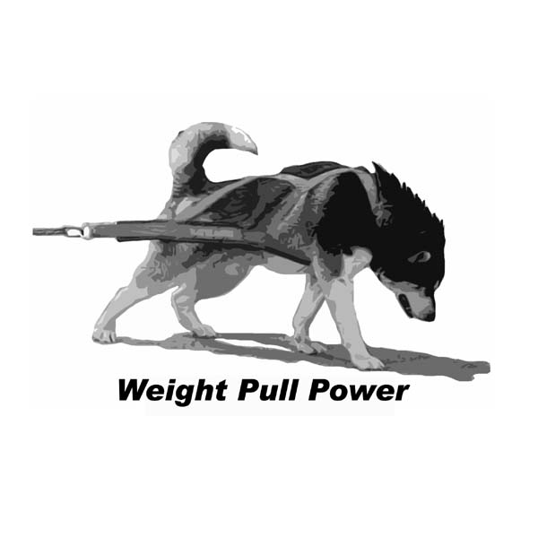 Weight Pull Power - Sebastian