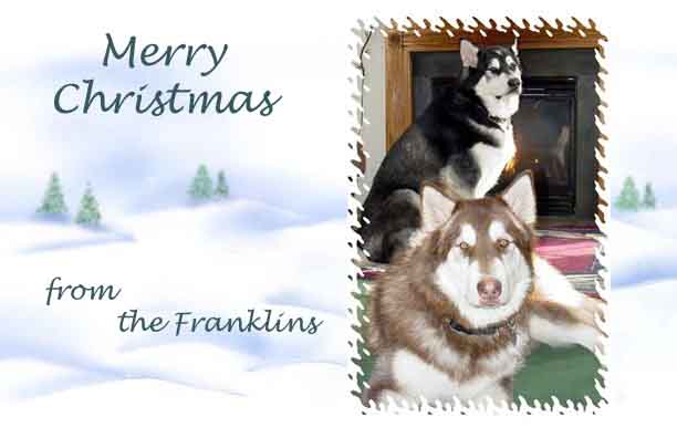 Merry Christmas from The Franklins