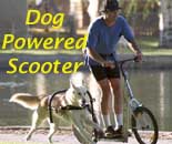 DogPoweredScooter.com - Urban Mushing
