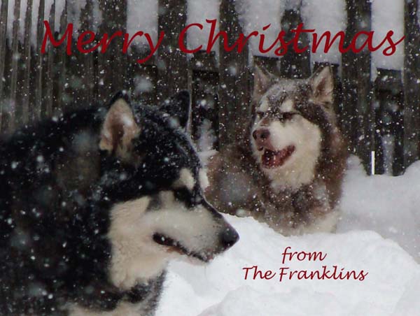Merry Christmas from The Franklins 2011