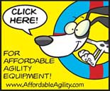 Affordable Agility