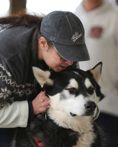 canine weight pull