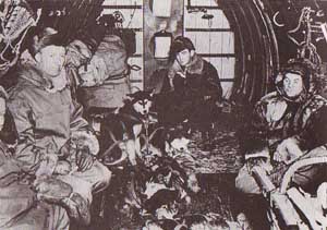 US troops enroute to France with sled dogs - World War II