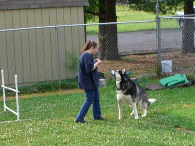 Sebastian - agility