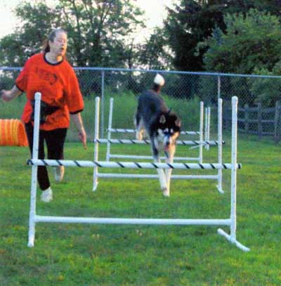 Sebastian hurdles