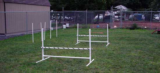 Sebastians Agility Class - Hurdles & Weave Poles