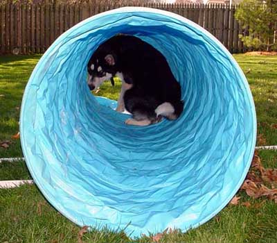 Sebastian in his tunnel November 2004