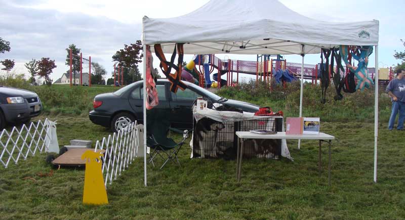 Weight Pulling - Demo - Tails on the Trails - September 26, 2009