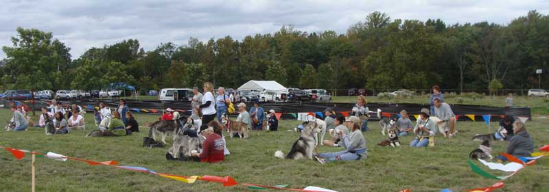 Weight Pulling - Demo - Tails on the Trails - September 26, 2009