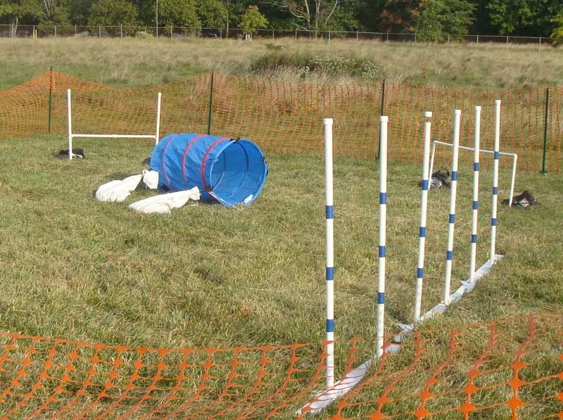 Weight Pulling - Demo - Tails on the Trails - September 25, 2010