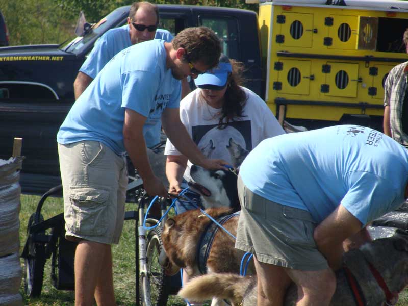 Weight Pulling - Demo - Tails on the Trails - September 25, 2010