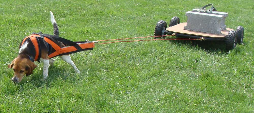 Weight Pulling - Demo - Schwenksville Community Days - April 30, 2011