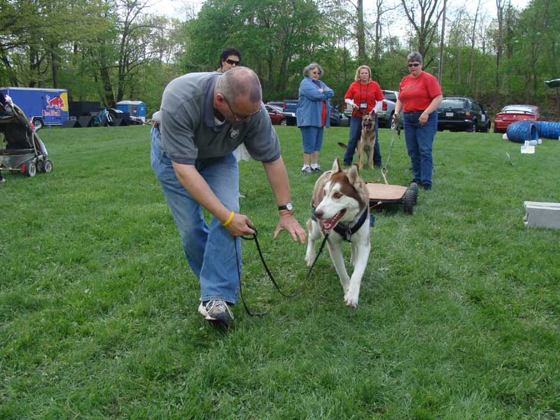 Weight Pulling - Demo - Schwenksville Community Days - April 30, 2011