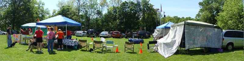 Weight Pulling - Demo - Schwenksville Community Days - May 19, 2012