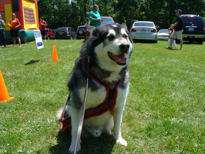 Weight Pulling - Demo - Schwenksville Community Days - May 19, 2012