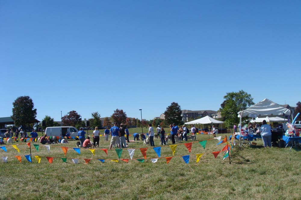 Weight Pulling - Demo - Tails on the Trails - September 28, 2013