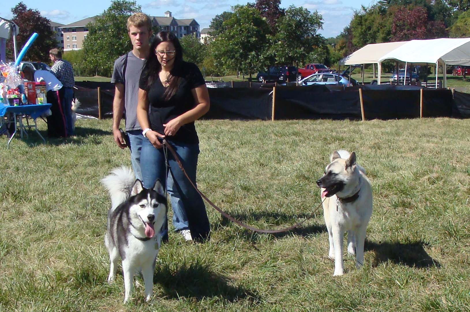 Weight Pulling - Demo - Tails on the Trails - September 28, 2013