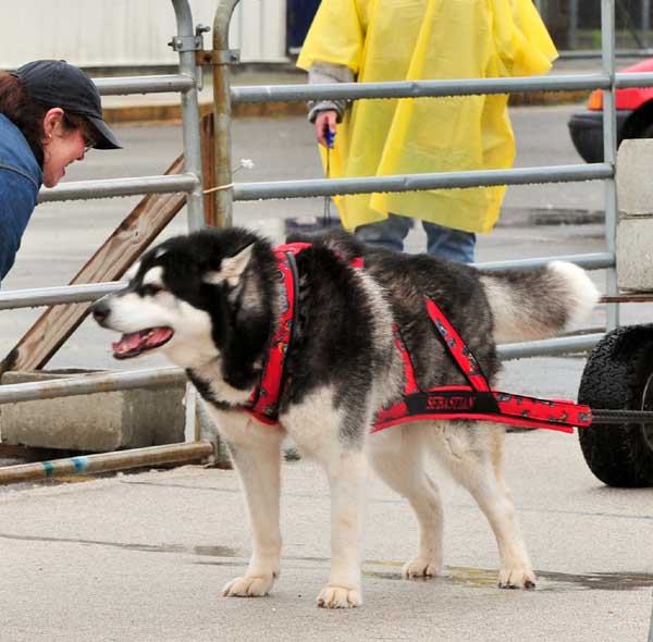 Sebastian being encouraged to finish the pull