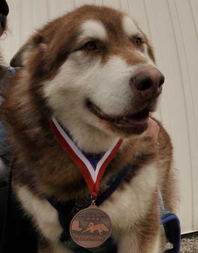 Cinnabar Bronze Medalist