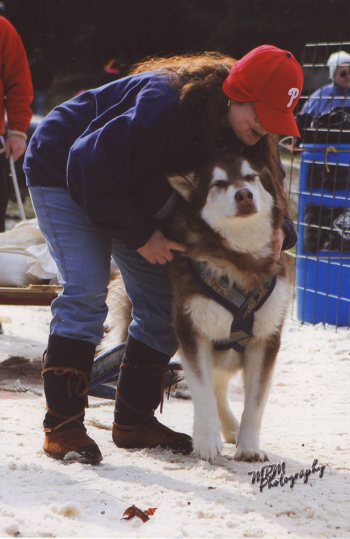 Canine Weight Pull