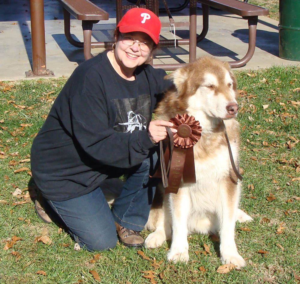 Canine Weight Pull