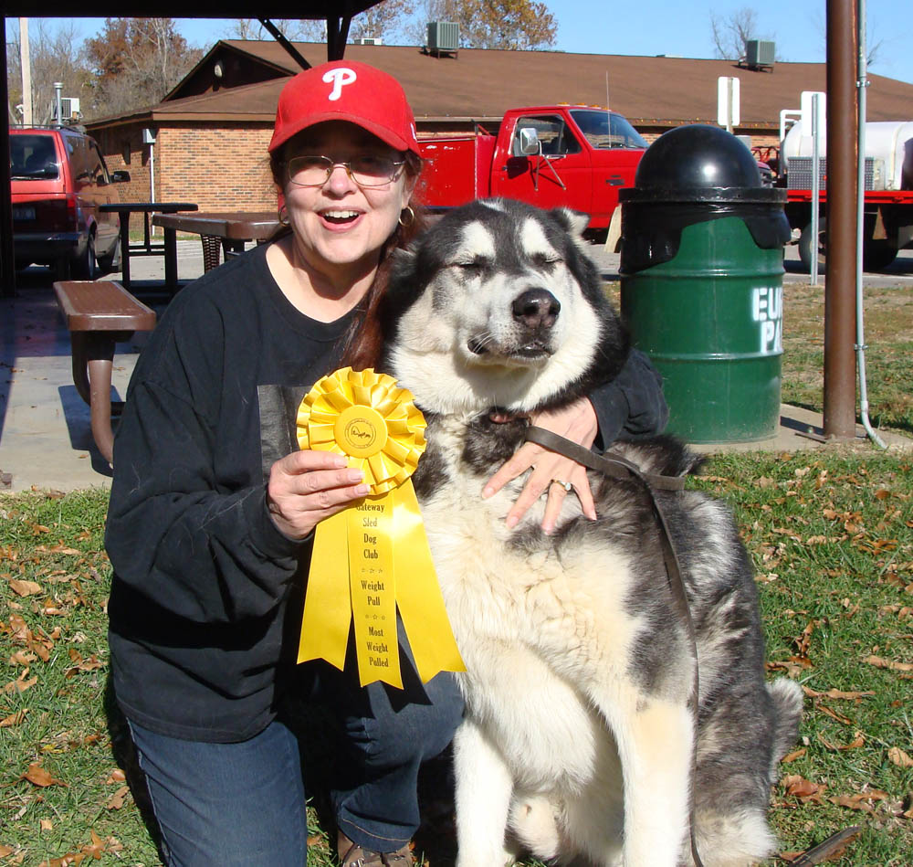 Canine Weight Pull