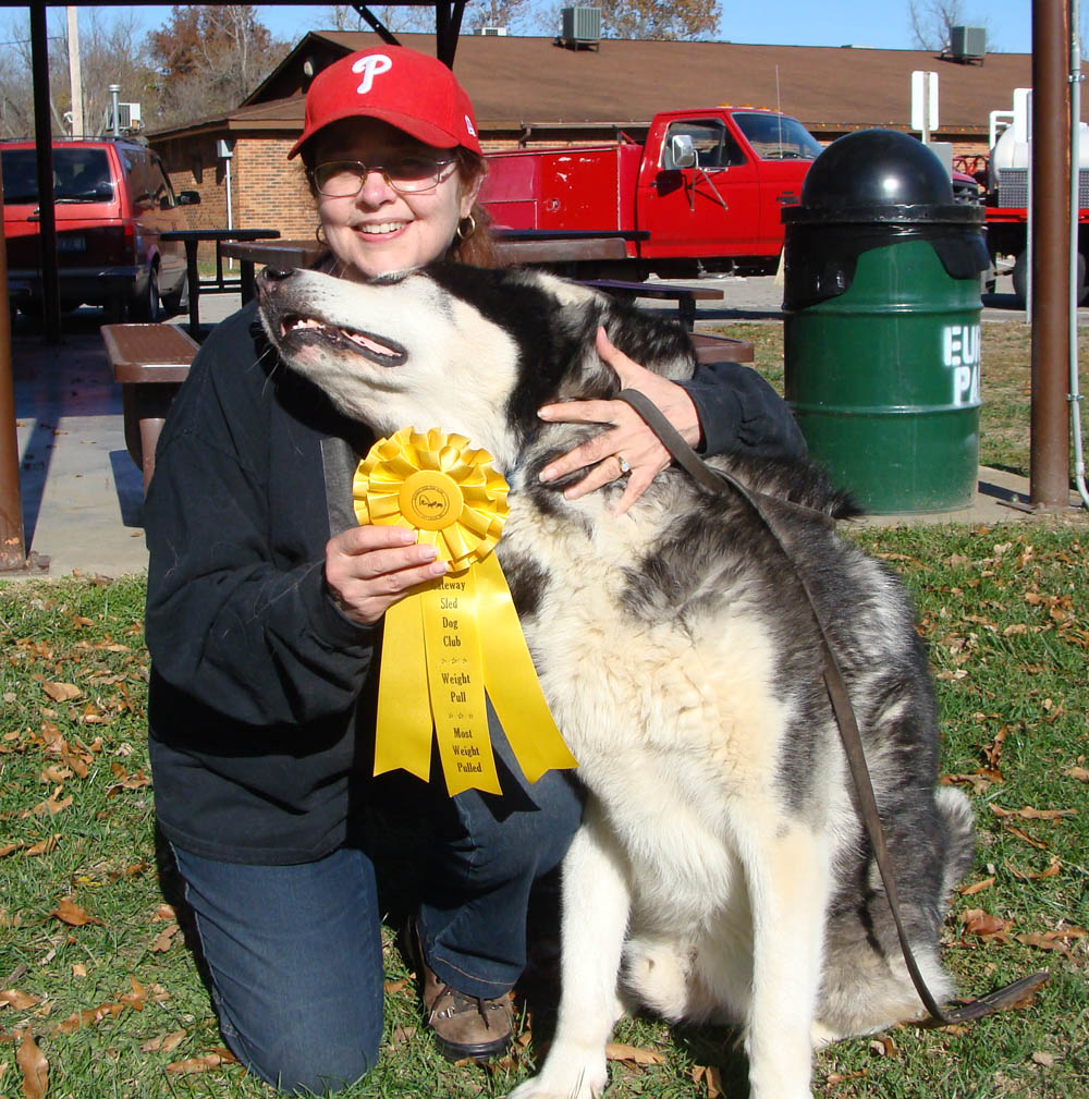 Canine Weight Pull