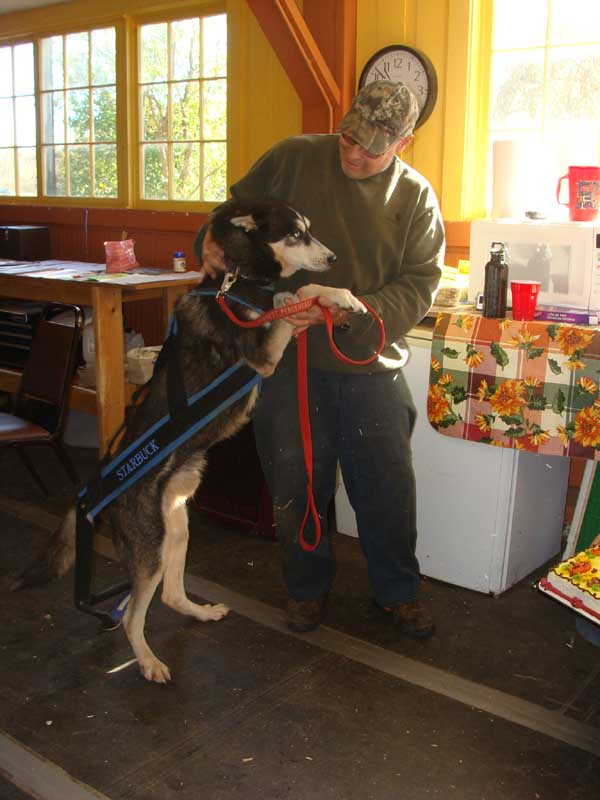 Canine Weight Pull