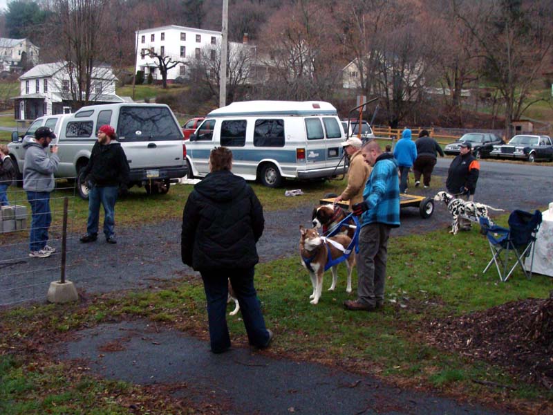 Canine Weight Pull