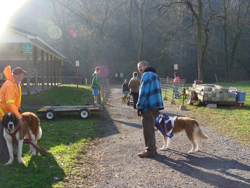 Canine Weight Pull