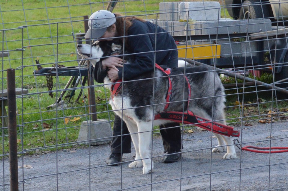 Canine Weight Pull