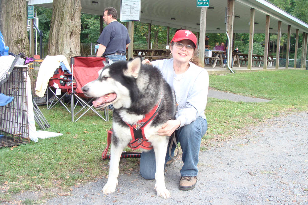 Canine Weight Pull