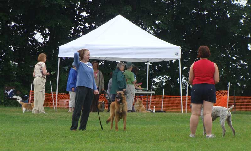 Weight Pulling - Demo - DTCCC - June 20, 2009 - More Rally competitors