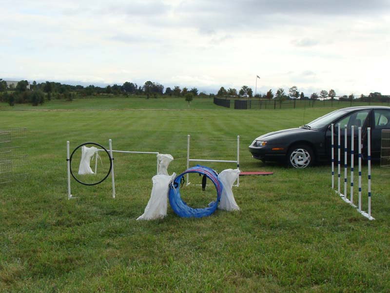 Weight Pulling - Demo - Tails on the Trails - September 29, 2012